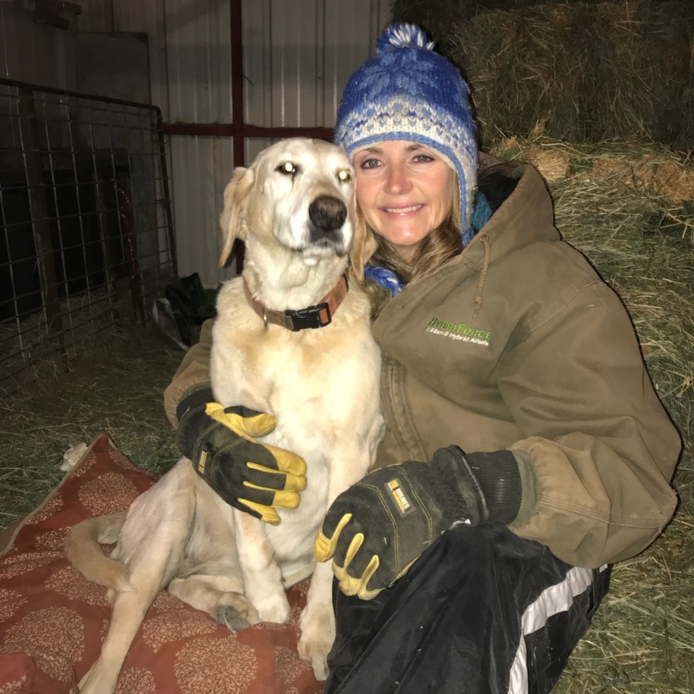 Meet your Posher, Sherry